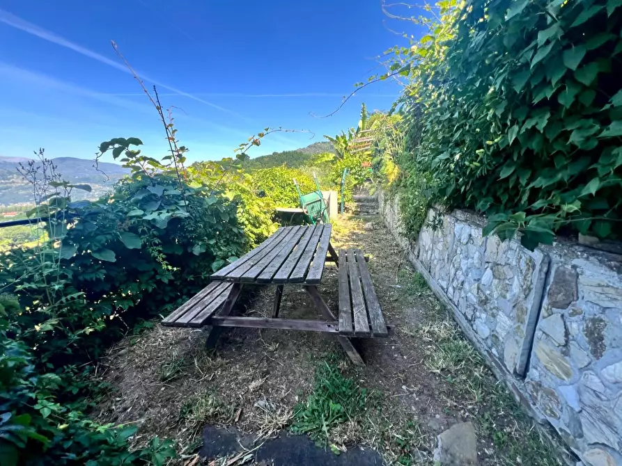 Immagine 25 di Casa colonica in vendita  a Barga