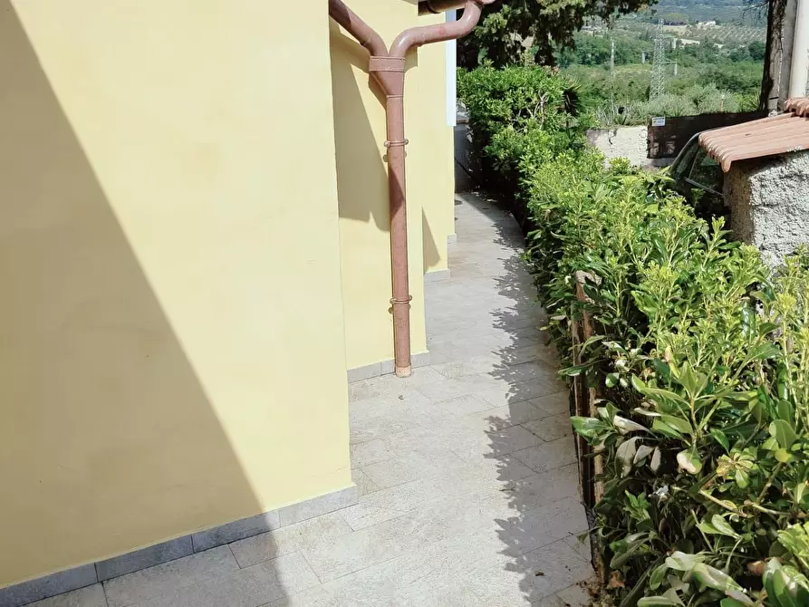 Immagine 11 di Casa bifamiliare in vendita  a Rosignano Marittimo