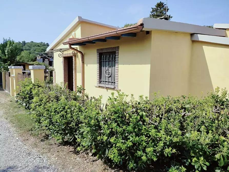 Immagine 1 di Casa bifamiliare in vendita  a Rosignano Marittimo