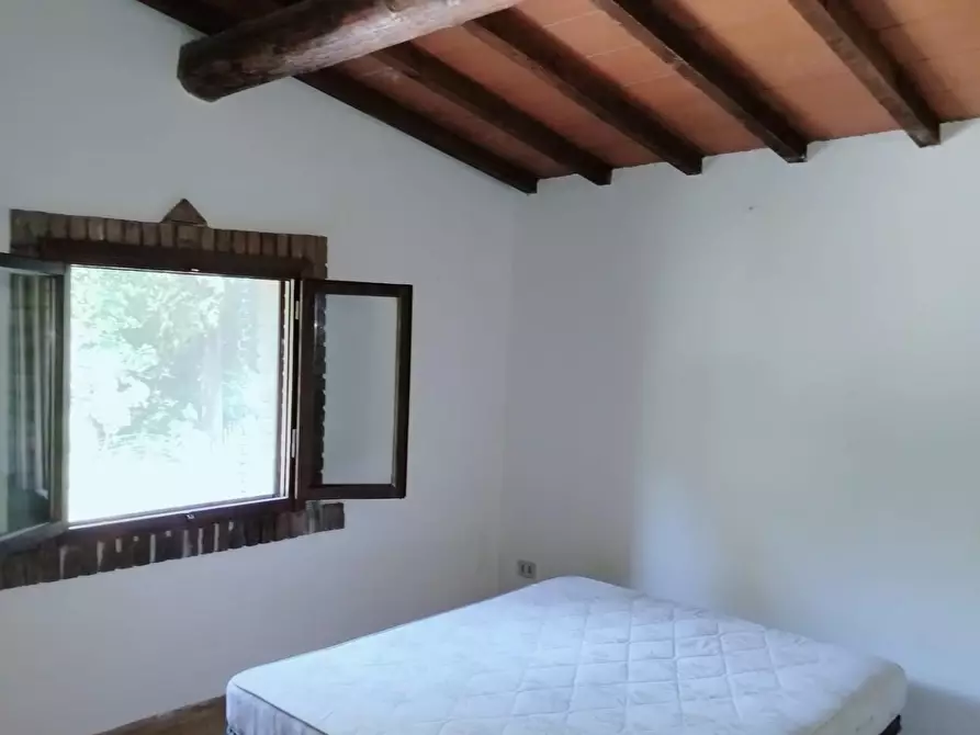 Immagine 9 di Casa bifamiliare in vendita  a Rosignano Marittimo