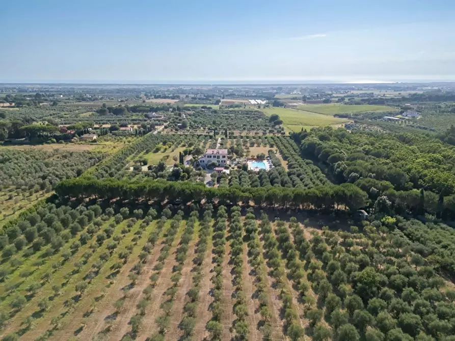 Immagine 3 di Villa in vendita  a Cecina
