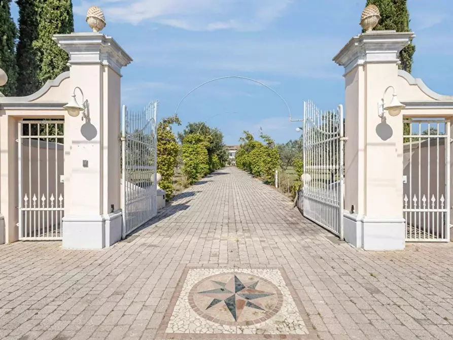 Immagine 5 di Villa in vendita  a Cecina