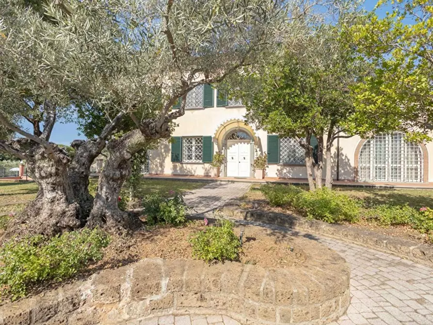 Immagine 6 di Villa in vendita  a Cecina