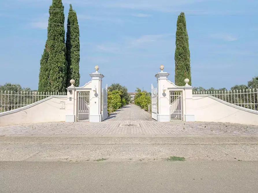 Immagine 4 di Villa in vendita  a Cecina
