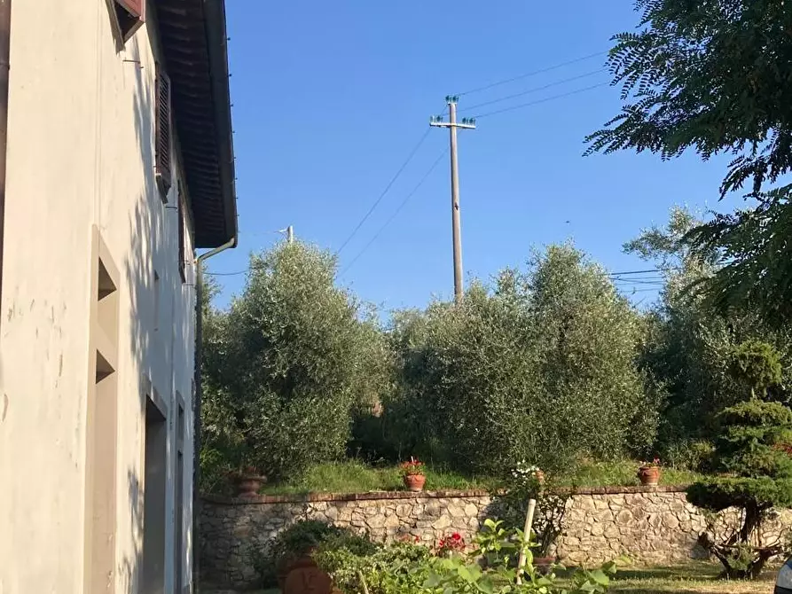 Immagine 5 di Rustico / casale in vendita  a Peccioli