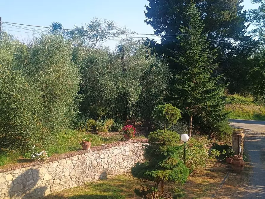 Immagine 9 di Rustico / casale in vendita  a Peccioli