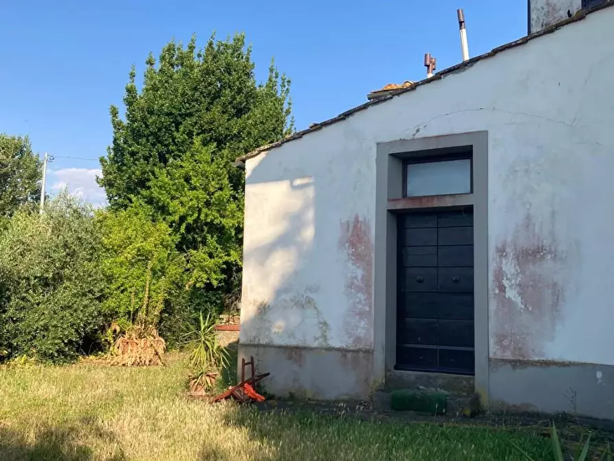 Immagine 4 di Rustico / casale in vendita  a Peccioli