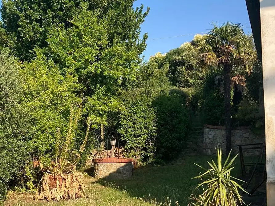 Immagine 6 di Rustico / casale in vendita  a Peccioli
