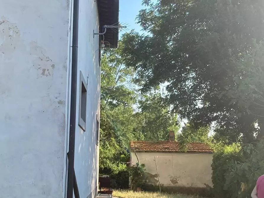 Immagine 7 di Rustico / casale in vendita  a Peccioli