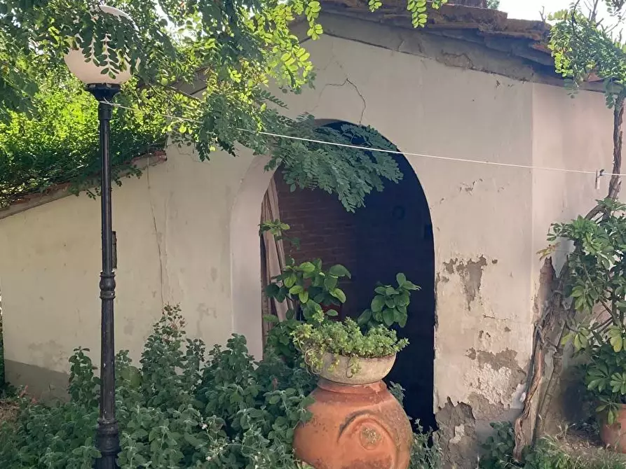 Immagine 3 di Rustico / casale in vendita  a Peccioli