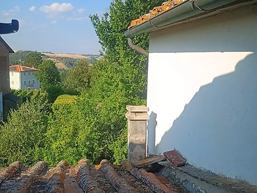 Immagine 8 di Rustico / casale in vendita  a Peccioli