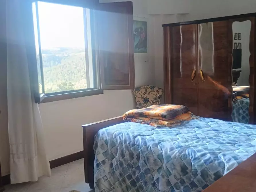 Immagine 18 di Rustico / casale in vendita  a Peccioli
