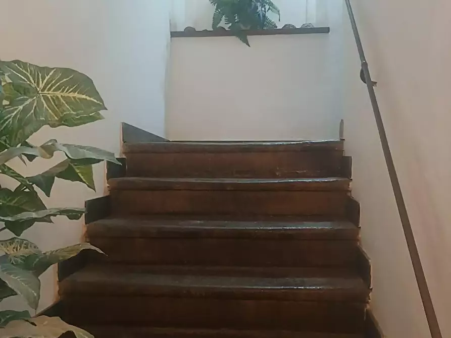 Immagine 11 di Rustico / casale in vendita  a Peccioli