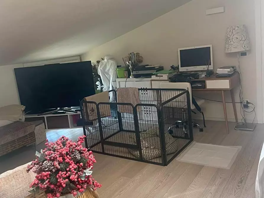 Immagine 14 di Appartamento in vendita  a San Giuliano Terme