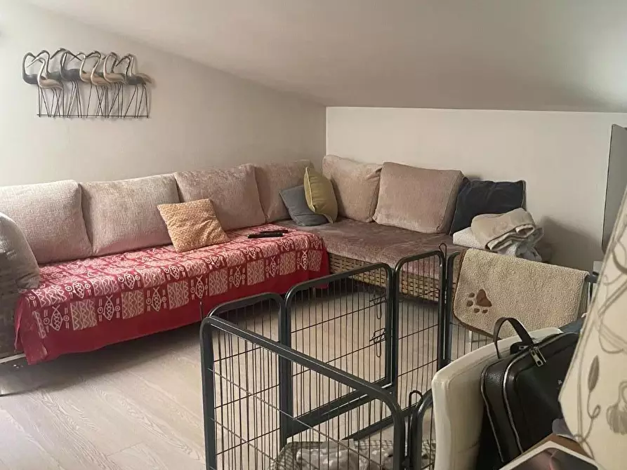 Immagine 17 di Appartamento in vendita  a San Giuliano Terme