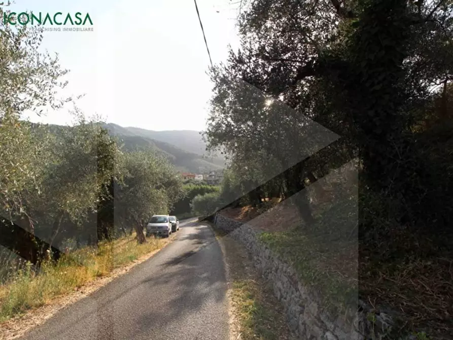 Immagine 23 di Terreno agricolo in vendita  a Buti