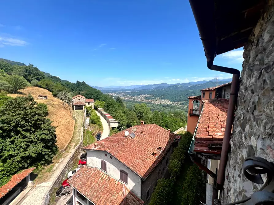 Immagine 28 di Terratetto in vendita  a Borgo A Mozzano