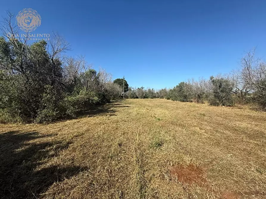 Immagine 7 di Terreno agricolo in vendita  a Alessano