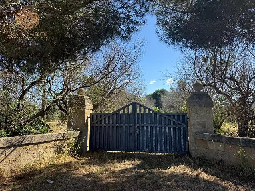 Immagine 16 di Terreno agricolo in vendita  a Alessano