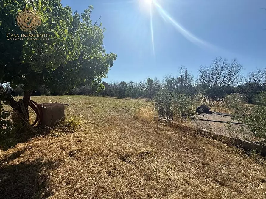 Immagine 11 di Terreno agricolo in vendita  a Alessano