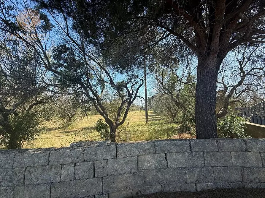 Immagine 23 di Terreno agricolo in vendita  a Alessano