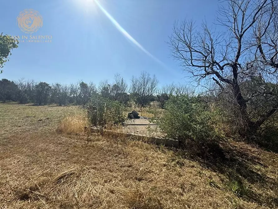 Immagine 10 di Terreno agricolo in vendita  a Alessano