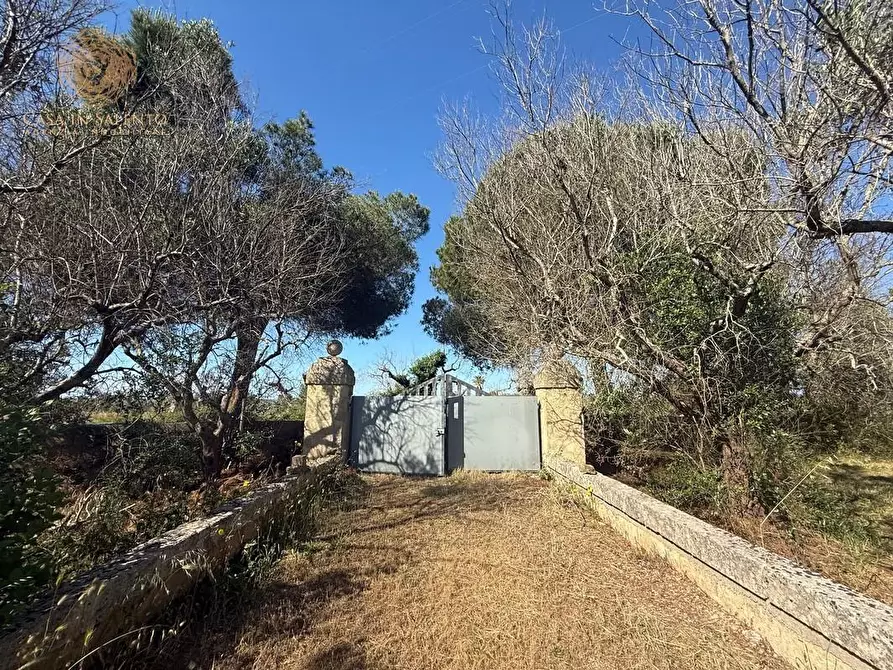 Immagine 1 di Terreno agricolo in vendita  a Alessano