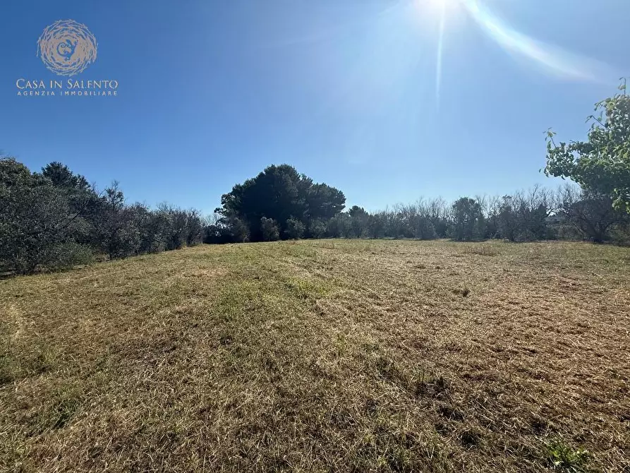 Immagine 5 di Terreno agricolo in vendita  a Alessano