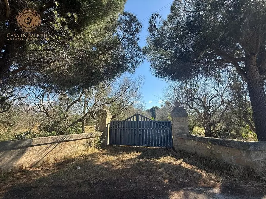 Immagine 15 di Terreno agricolo in vendita  a Alessano