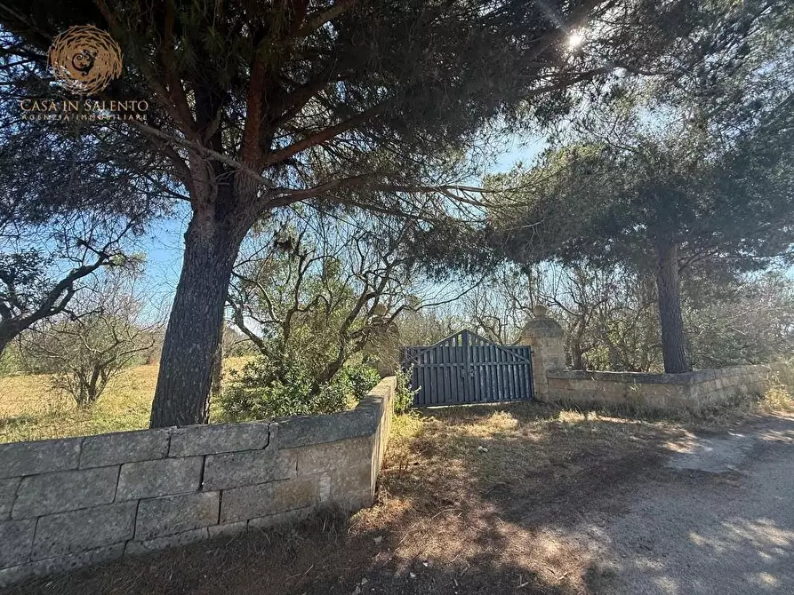 Immagine 22 di Terreno agricolo in vendita  a Alessano