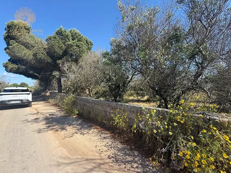 Immagine 17 di Terreno agricolo in vendita  a Alessano
