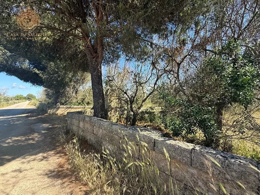 Immagine 21 di Terreno agricolo in vendita  a Alessano