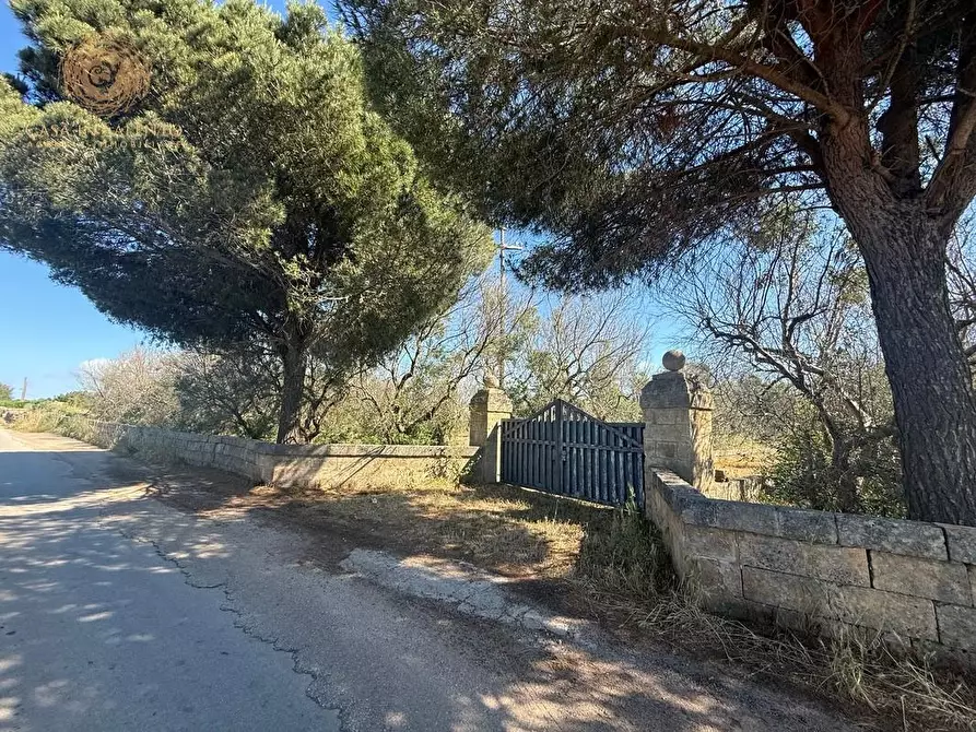 Immagine 14 di Terreno agricolo in vendita  a Alessano