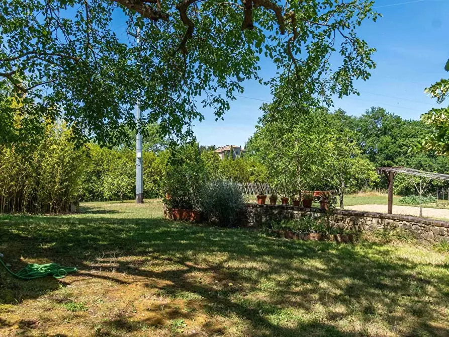 Immagine 54 di Casa colonica in vendita  a Gaiole In Chianti