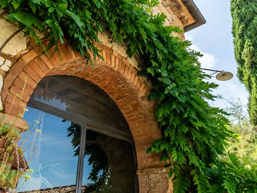 Immagine 43 di Casa colonica in vendita  a Gaiole In Chianti
