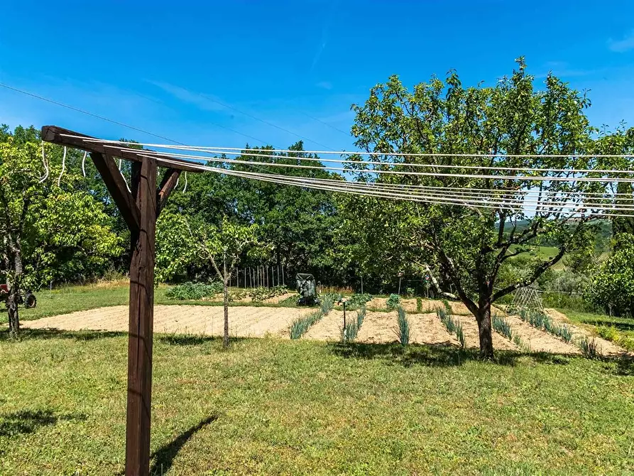 Immagine 55 di Casa colonica in vendita  a Gaiole In Chianti
