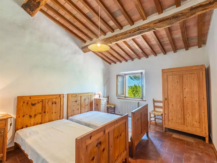 Immagine 24 di Casa colonica in vendita  a Gaiole In Chianti