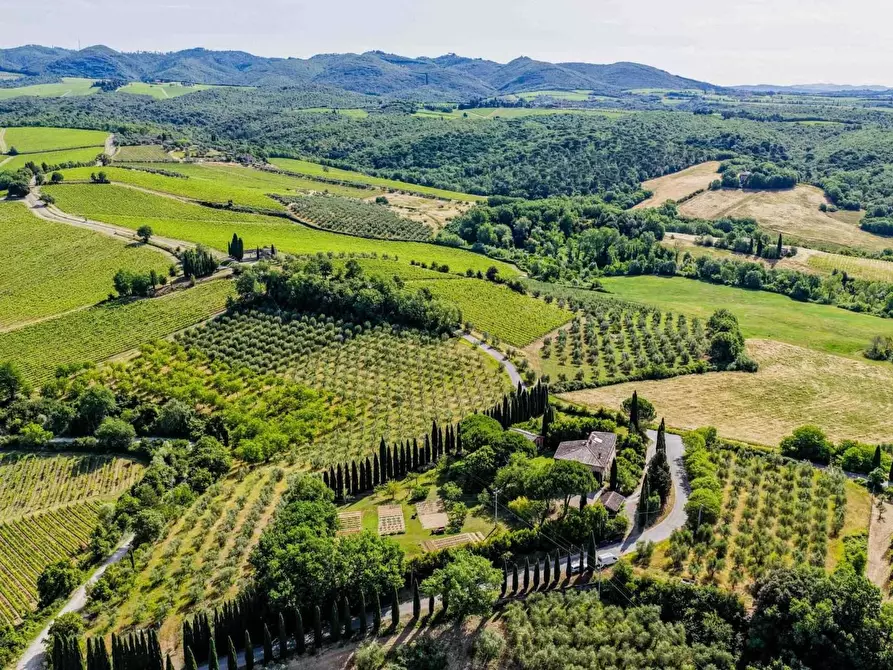 Immagine 9 di Casa colonica in vendita  a Gaiole In Chianti