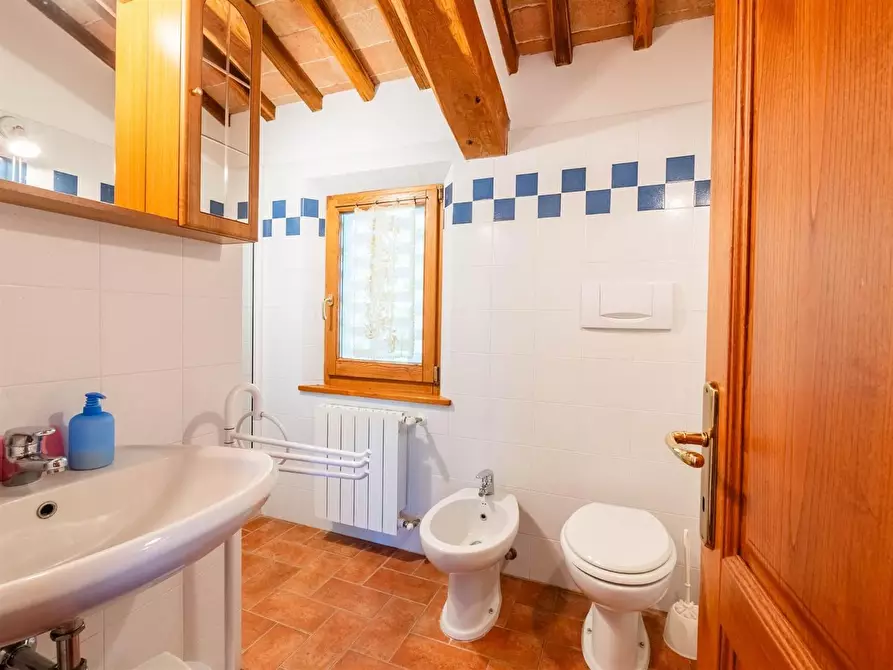 Immagine 53 di Casa colonica in vendita  a Gaiole In Chianti
