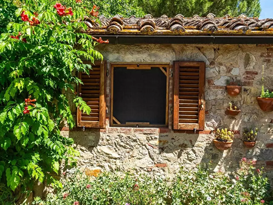 Immagine 42 di Casa colonica in vendita  a Gaiole In Chianti