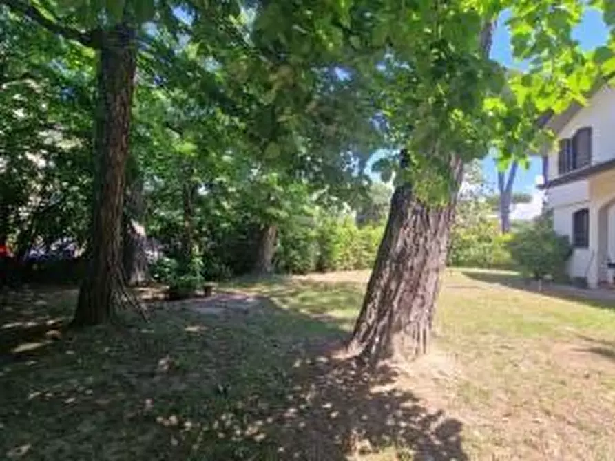 Immagine 6 di Villa in vendita  a Viareggio