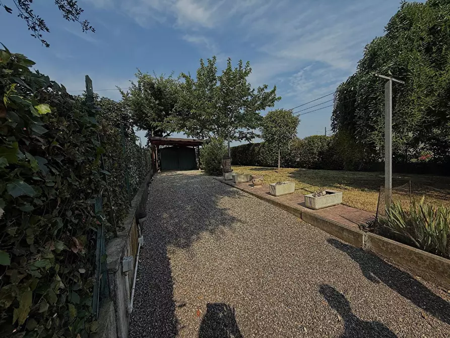Immagine 33 di Terratetto in vendita  a Empoli
