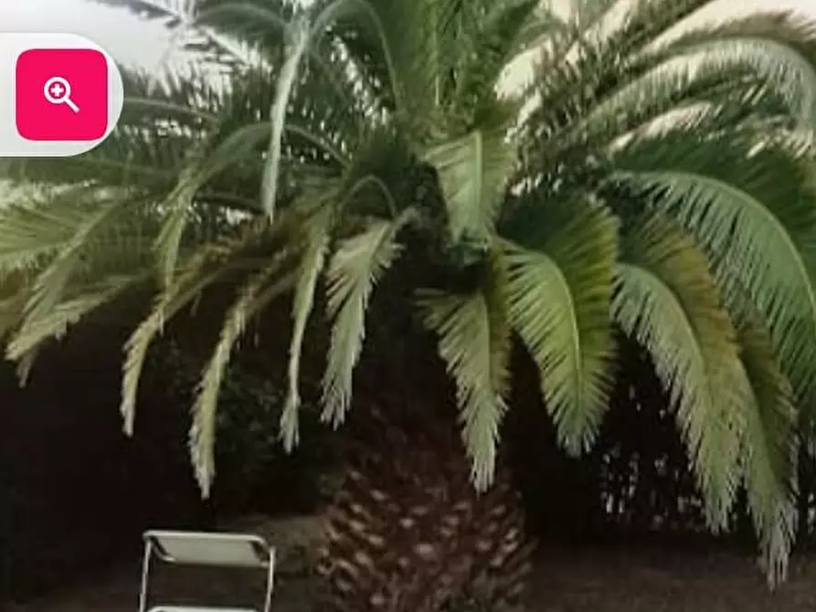 Immagine 47 di Villetta a schiera in vendita  a Calcinaia