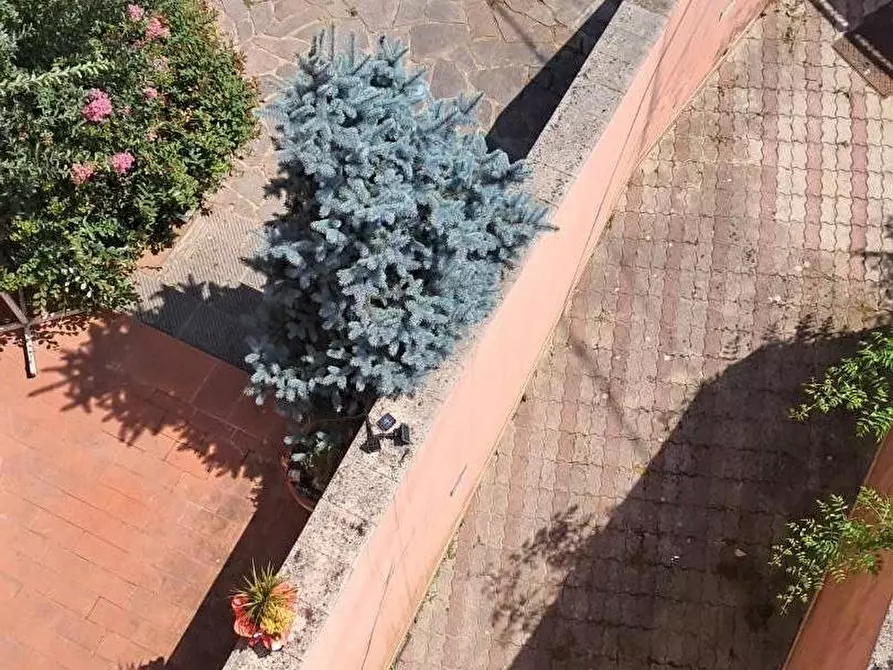 Immagine 34 di Villetta a schiera in vendita  a Calcinaia