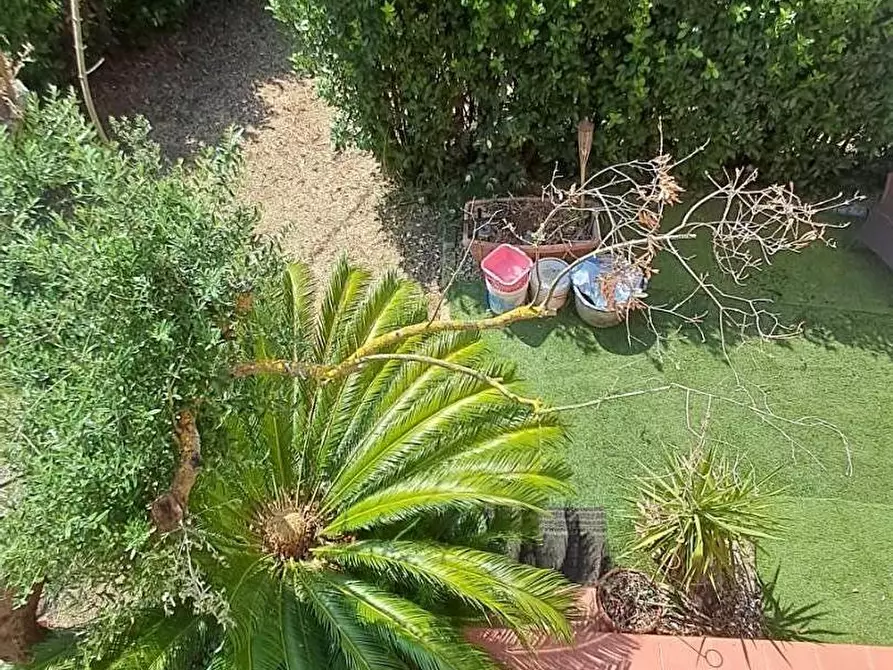 Immagine 7 di Villetta a schiera in vendita  a Calcinaia