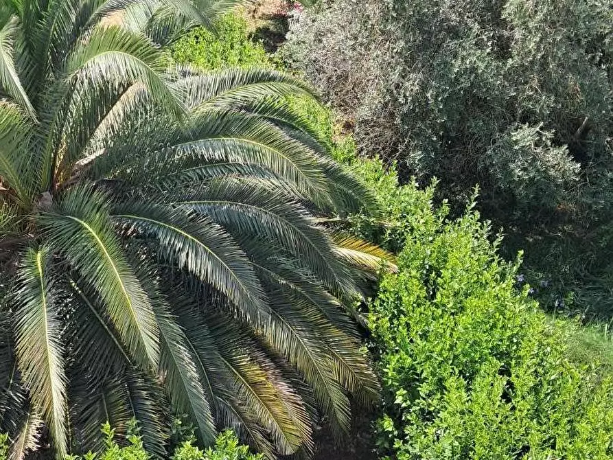 Immagine 42 di Villetta a schiera in vendita  a Calcinaia