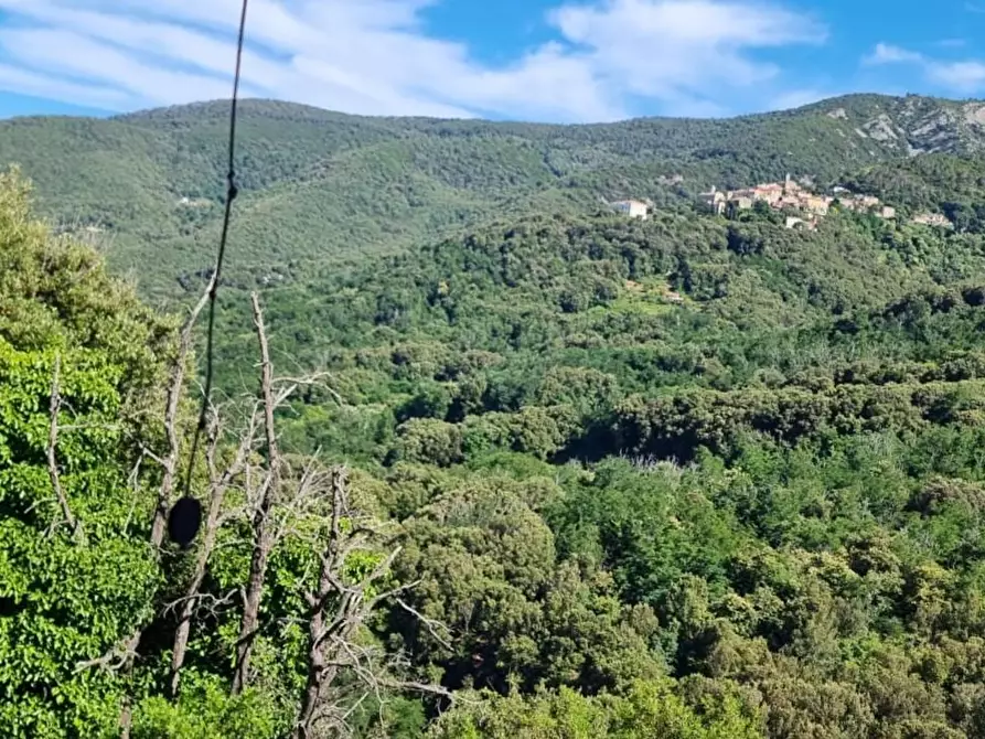 Immagine 12 di Casa trifamiliare in vendita  a Marciana