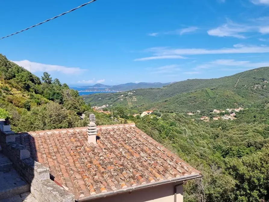 Immagine 3 di Casa trifamiliare in vendita  a Marciana