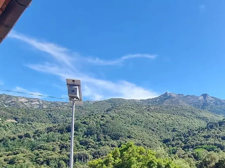 Immagine 32 di Casa trifamiliare in vendita  a Marciana