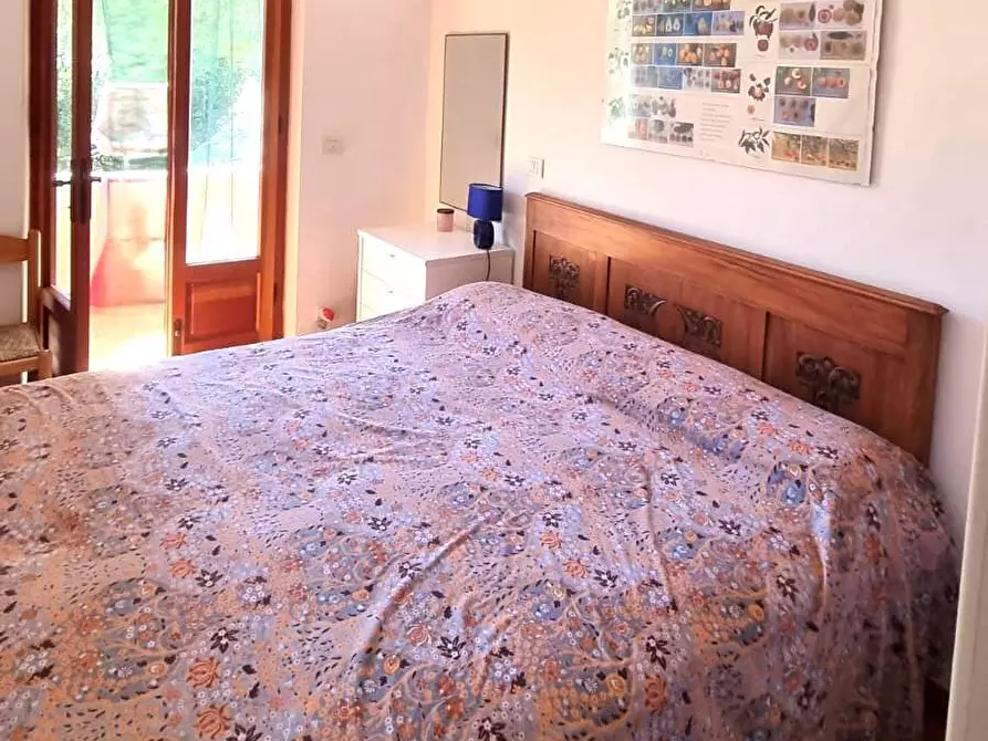 Immagine 17 di Casa trifamiliare in vendita  a Marciana